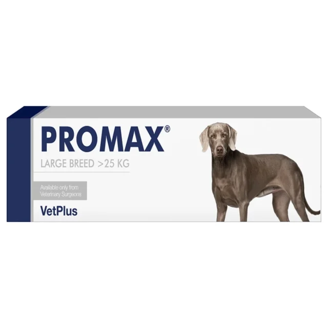 Promax Nutritional Supplement for Large Dogs 30ml Syringe
