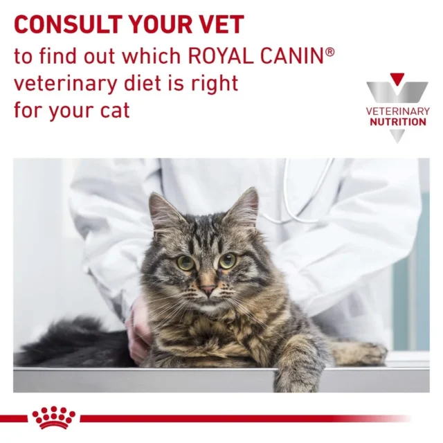 Royal Canin Pill Assist Cat Treats